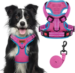 No-Pull Dog Harness | Adjustable & Reflective Pet Harness Leash Set for Small Me - Picture 1 of 12