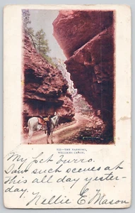 Postkarte The Narrows, Williams Canon, Colorado Horse um 1905 - Bild 1 von 2