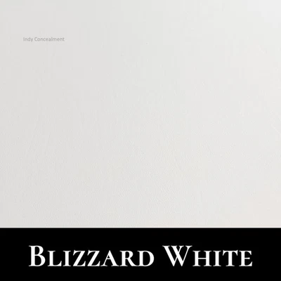 Fits Smith & Wesson Bodyguard 2.0 (IWB) Holster - Image 1 of 4