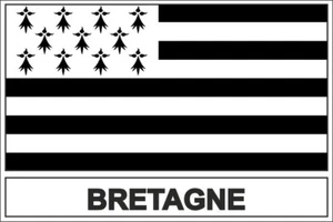Autocollant sticker drapeau bretagne breton - Imagen 1 de 1