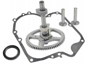 Nockenwelle für Briggs & Stratton 10,5-19PS Modelle 21 28 31 33 INTEK OHV AVS - Bild 1 von 5