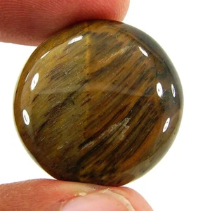29.90 Ct Natural Tiger Eye Loose Gemstone Stone Cabochon Wire Wrap Stone - 23717 - Afbeelding 1 van 2