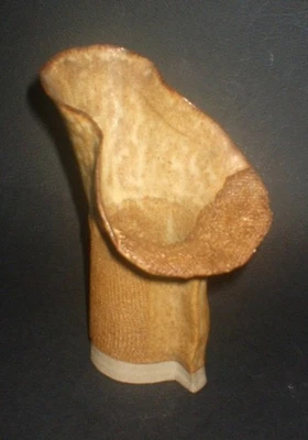 COLLECTABLE 1970's HILBRE VIEW WELSH STUDIO POTTERY JACK IN THE PULPIT VASE - Image 1 of 4