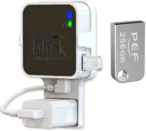 256GB Blink USB Stick und Steckdose Wandhalterung für Blink Sync Modul 2, Sp... - Bild 1 von 7