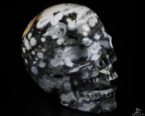 GEODE Huge 5.2" Ocean Jasper Carved Crystal Singing Skull, Crystal Healing - Picture 1 of 8