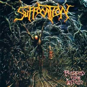 Suffocation Pierced from Within CD Deicide Sepultura entombed Death Metal absu - Picture 1 of 2