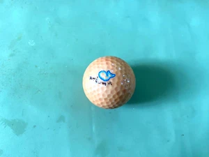 VINTAGE HAWAII LOGO GOLFBALL ROYAL KAANAPALI WAL ORANGISH OLD BALL - Bild 1 von 3