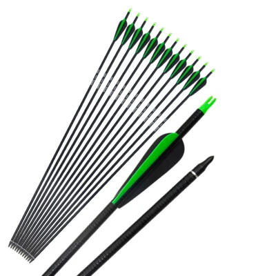 D&Q Fiberglass Arrows Hunting Archery Target Arrows For Recurve Compound Bow - Image 1 of 4
