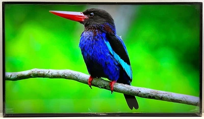 Sony 50" BRAVIA Professional Display EZ20L 4K HDR Android OS TV FW-50EZ20L *B* - Image 1 of 4