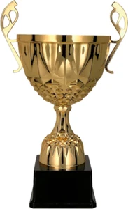 Coppa in Metallo Oro E Argento, Trofeo Con Incisione a Scelta - Foto 1 di 12