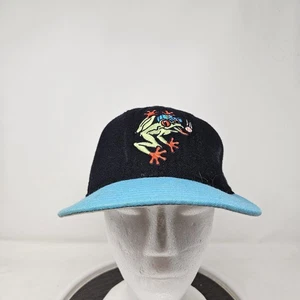 Vintage Pro Model New Era Everett Aquasox Minor League Baseball Fitted Hat 7 1/8 - Picture 1 of 7