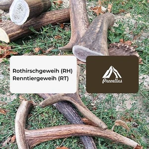 Hunde Kauknochen Hirschgeweih Geweihstücke Kaugeweih Geweihsnack Rotwild+Rentier - Picture 1 of 5
