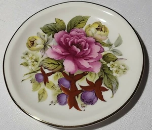 Newhall Staffordshire Bone China Plate Floral Pattern England 6.5" Vintage - Imagen 1 de 3