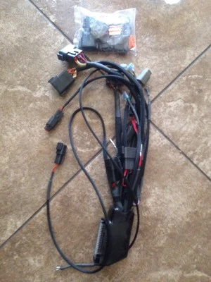 Arnés de cableado principal para motocicleta Saxon Griffin Bobber Sceptre 2008 Thunderheart  Foto 1 de 3