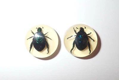 Insect Cabochon Blue Cockchafer Beetle Round 19 mm Amber white 2 Pieces Lot - Image 1 of 4