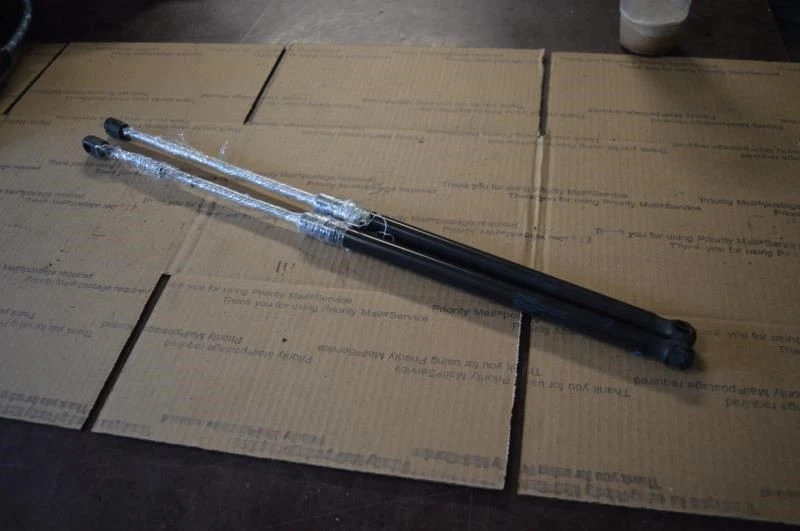 Amortiguadores maletero Volkswagen Beetle 2006 2007 2008 2009 2010 hatchback puntales Foto 1 de 4