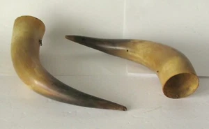 Antique Pair Cow or Bull Horns Farmhouse Restaurant Decor Cowboy Farm Wild West - Picture 1 of 5