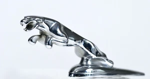 Jaguar X Type 2004-2009 salto ''Jaguar'' capó adorno emblema OEM - Imagen 1 de 14