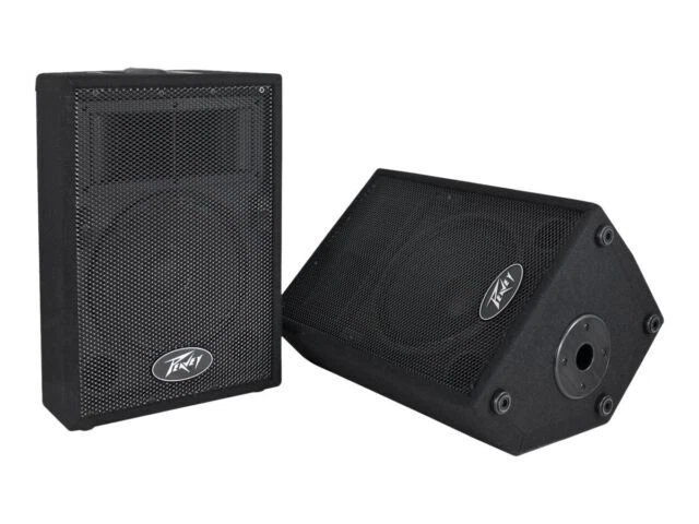 Peavey PVi 10 2-Way Speaker - Pair - Image 1 of 1