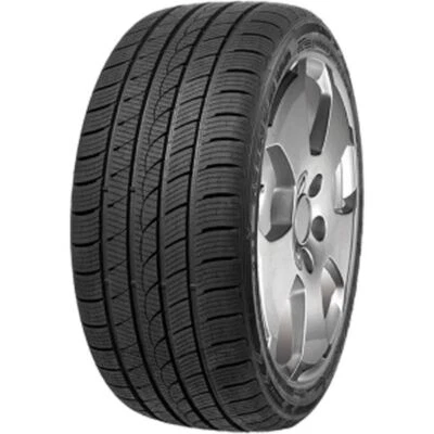 Winterreifen - MINERVA S220 275/40R20 106V XL - Bild 1 von 3