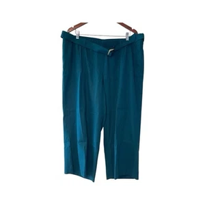 J.Jill Linen Stretch 2X Linen Blend crop Pull-on Pants Elastic Waist with belt - Picture 1 of 13