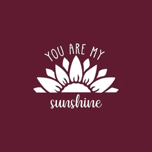 You are My Sunshine - White 20" x 26" Wall Art Decal Vinyl Sticker - Picture 1 of 4