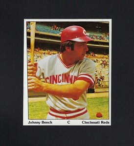 1975 SSPC Puzzle Backs JOHNNY BENCH Cincinnati Reds (4 1/4" X 3 1/2") MINT
