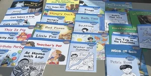 Readers - Houghton Mifflin Reading Intervention For Early Success Level 1 Set - Picture 1 of 3