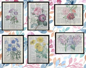 Botanische Blumen Wörterbuch Drucke Blume Thema Druck Wandkunst Handarbeit 6er Set - Bild 1 von 8