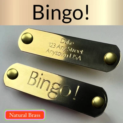 TWO Custom Engraved NAME PLATES Engraved Dog Tags Personalized Dog NATURAL BRASS - Image 1 of 4