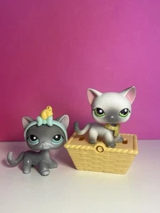 🌸Littlest Pet Shop Pet Pairs Shorthair Cat #125 & Shorthair Cat #126 Lps 🌸 - Picture 1 of 6