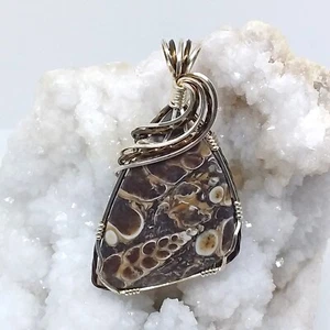 Turritella, fósil, envuelto en alambre, collar, plata de ley, bronce, #2031 - Imagen 1 de 6