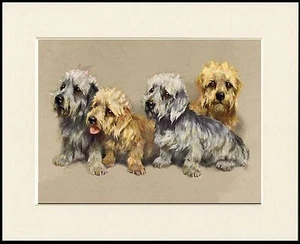 DANDIE DINMONT TERRIER GRUPPE VON HUNDEN SCHÖNER HUNDEDRUCK RAHMENFERTIG MONTIERT - Bild 1 von 1