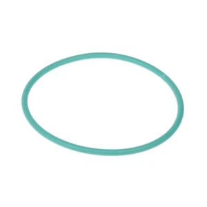 Fuel Pump O-Ring # 55366298AA Fit For Dodge Chrysler Jeep Ram 2005-2019 - Picture 1 of 4