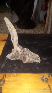 Awesome Driftwood Coral Reef - Picture 1 of 2