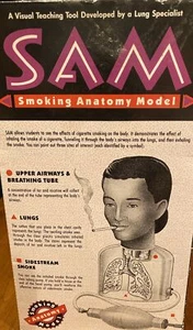 SAM - SMOKING ANATOMY MODEL - 1991 - Bild 1 von 5