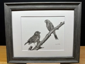 Dibujo de un pinzón macho y hembra pájaros grafito arte boceto impresión de imagen - Imagen 1 de 17
