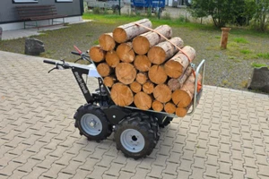 Holz, Transportplattform, Holztransport, Plattform, Holzplattform - Bild 1 von 19