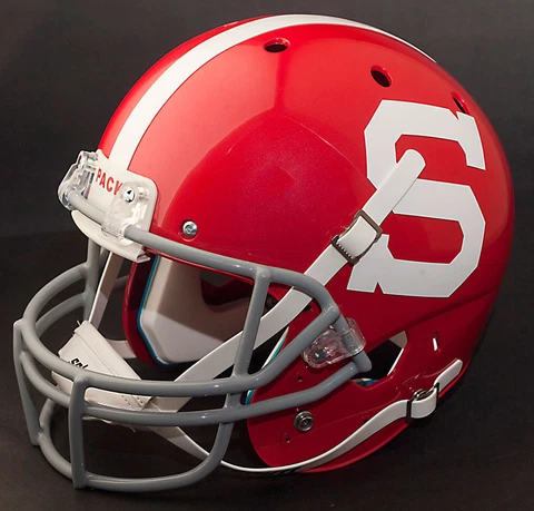 NORTH CAROLINA STATE WOLFPACK 1978-1980 Schutt REPLICA Football Helmet NC STATE Cover