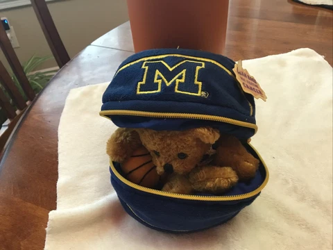 Vintage 2000 MICHIGAN Plush Basketball ‘Bean Bag For  Fighting Cancer’ + Bear Cover