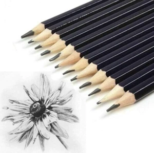 Top Quality Set Of 12 GRADED ART SKETCHING PENCILS H B Drawing Shade Light Dark - Picture 1 of 6