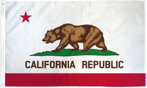 10 x "CALIFORNIA" flag 2x3 ft polyester banner sign state CA republic - Picture 1 of 7