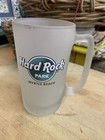 Hard Rock Park Frosted Mug Myrtle Beach SC