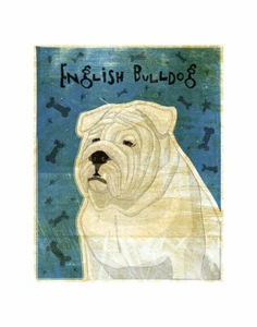 White English Bulldog, John Golden, Wall Decor Art Print Poster 14" x 11" 988 - Picture 1 of 1