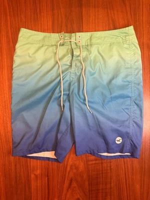 Hollister Board Shorts Men's 36 Light Blue Green Swim Suit Designer Swim Shorts - Image 1 of 4