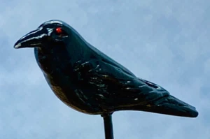 Dollhouse Miniature Single Crow or Raven Looking Ahead -- 1:12 Scale - Picture 1 of 2