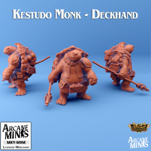 D&D Miniature Tortle Monk Dungeons and Dragons