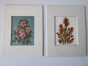 Par de impresiones florales vintage de Aileen Wade - arte botánico enmarcado, rosas y pintura - Imagen 1 de 15