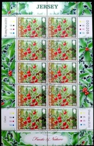 JERSEY 2013   -  HB. FLORES DE INVIERNO - Imagen 1 de 1