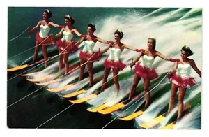 Vintage Postkarte Aquamaiden Zypressen Gärten Wasserski FL Tropisches Wunderland - Bild 1 von 2